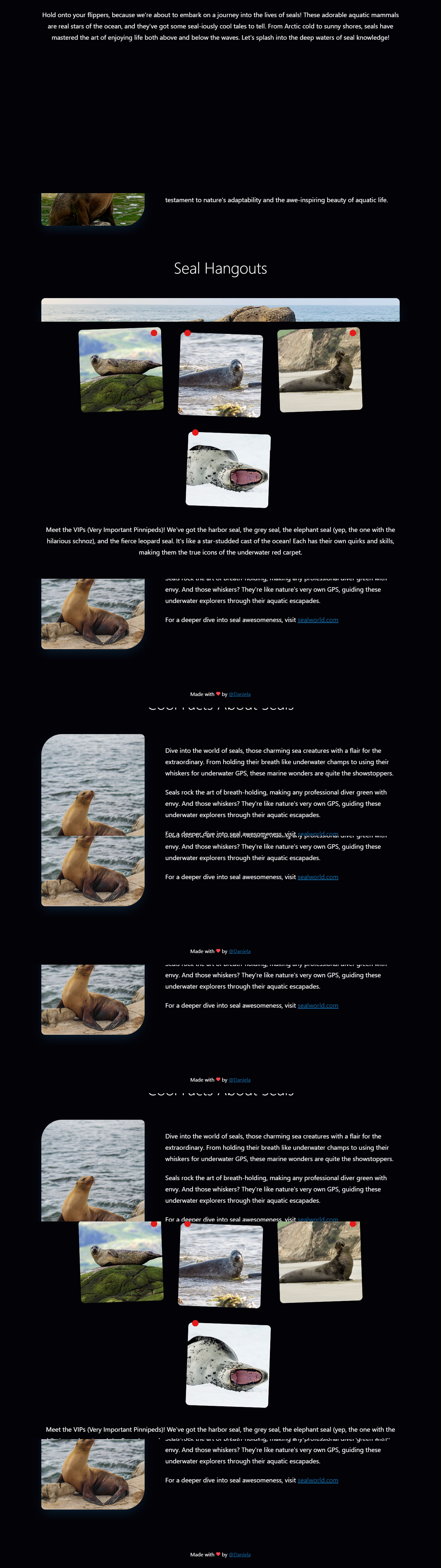 Seal World - Parque de Golfinhos